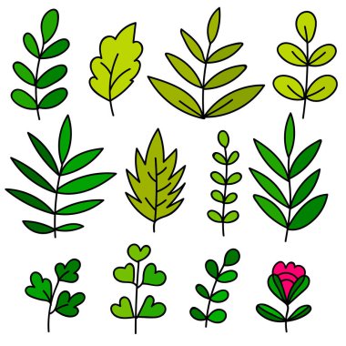 Renkli el çizimi elementler, ağaç dalı, çalı, bitki, tropikal yapraklar, çiçekler, dallar, beyaza izole edilmiş yapraklar. Tasarım koleksiyonu. Vektör illüstrasyonu.