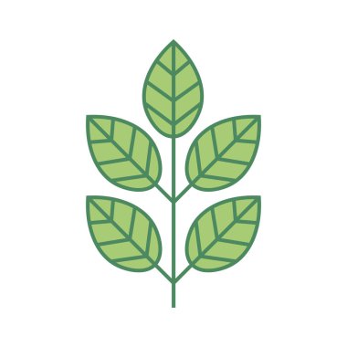 Beyaz arkaplana ince çizgi simgesi yerleştir. İnce yaprak ikonu. Yapraklı ağaç dalı. Vektör illüstrasyonu.