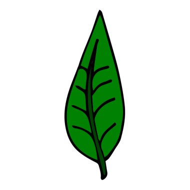 Çizgi film karalama doğrusal yaprağı beyaz arkaplanda izole edilmiş. Vektör illüstrasyonu. 