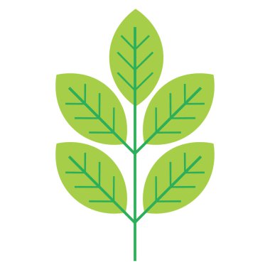 Çiçek ikonu. Beyaz arka planda yaprakları olan bir ağaç dalı. Vektör illüstrasyonu.