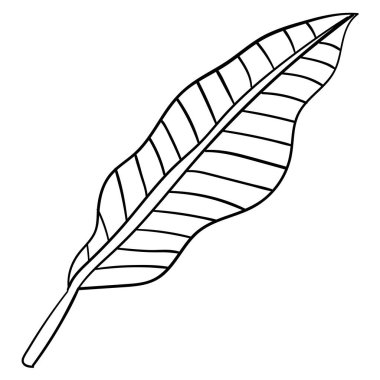 Çizgi film çizimleri, beyaz arka planda izole edilmiş palmiye yaprağı. Vektör illüstrasyonu. 