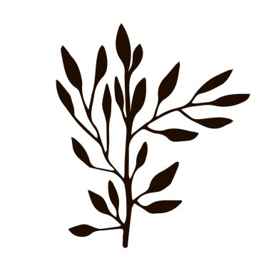 El çizimi beyaz arka planda izole bir dal. Vektör illüstrasyonu.