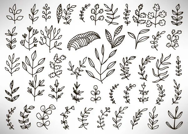 Conjunto Floral Elementos Dibujados Mano Contorno Negro Rama Árbol Arbusto — Archivo Imágenes Vectoriales