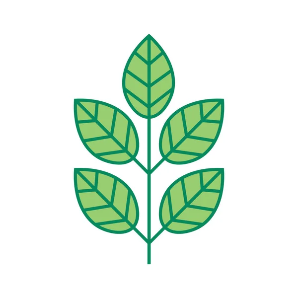 Rostlina Tenká Čára Ikona Izolované Bílém Pozadí Ikona Tenkého Listí — Stockový vektor