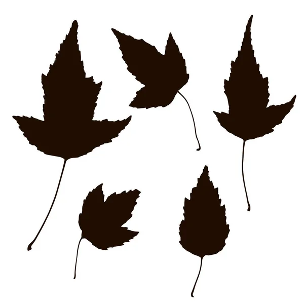 Květinová Sada Černých Ručně Kreslených Grunge Květinové Prvky Strom Větev — Stockový vektor