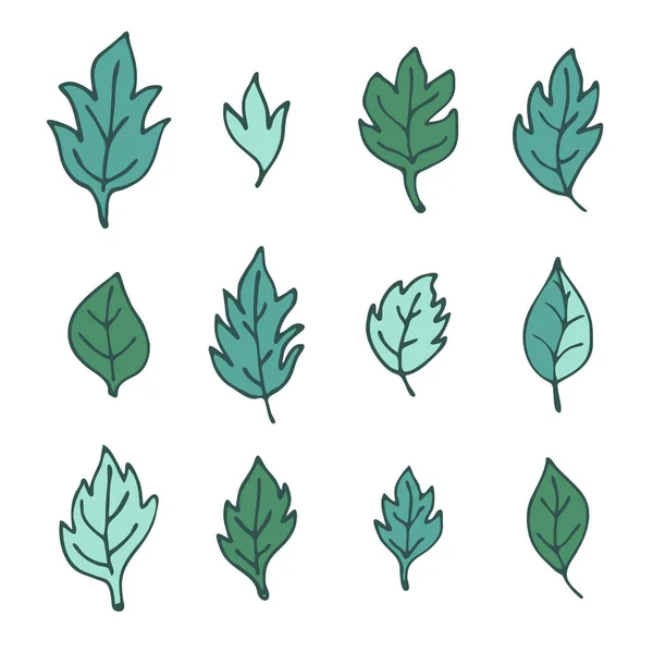 Hand Drawn Leaves Set Isolated White Background Vector Illustration — Stock Vector
