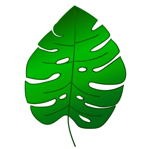 Hoja Monstera Dibujos Animados Aislada Sobre Fondo Blanco Ilustración Vectorial — Vector de stock