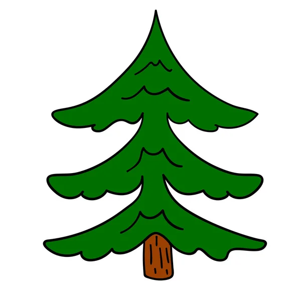 Kreskówka Doodle Liniowy Świerk Drzewo Izolowane Białym Tle Ilustracja Wektora — Wektor stockowy