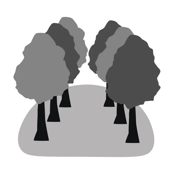 Černobílý Park Stromy Alej Izolovaná Bílém Pozadí — Stockový vektor