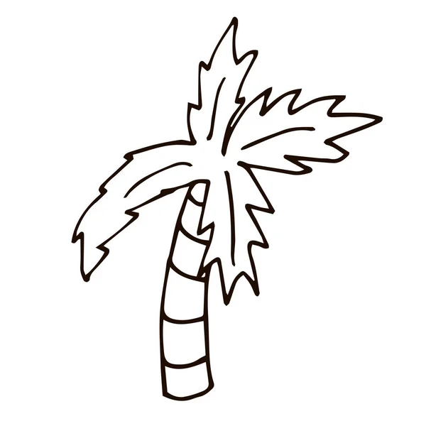 Desenhos Animados Doodle Palma Linear Isolado Fundo Branco Ilustração Vetorial — Vetor de Stock