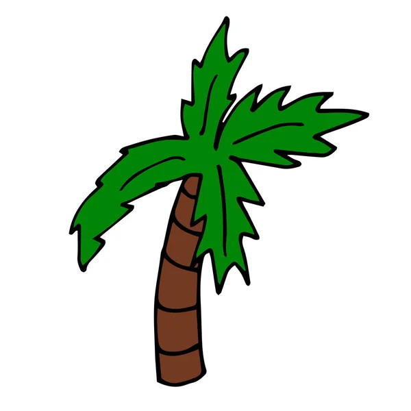 Cartoon Doodle Lineaire Palm Geïsoleerd Witte Achtergrond Vectorillustratie — Stockvector
