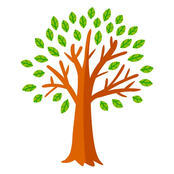 Çizgi film yeşil ağacı beyaz arka planda izole edilmiş. Vektör illüstrasyonu.