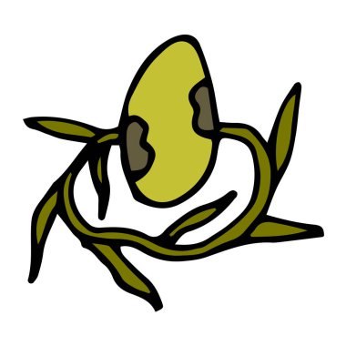 Yuvadaki çizgi film karalama doğrusal yumurtası beyaz arka planda izole edilmiş. Vektör illüstrasyonu.