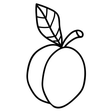 Çizgi film çizimleri, beyaz arka planda yaprak izole edilmiş doğrusal kayısı. Vektör illüstrasyonu.