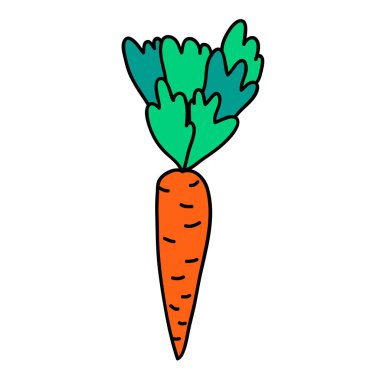 Çizgi filmlerde beyaz arka planda yapraklarla çizilmiş doğrusal havuç. Vektör illüstrasyonu. 