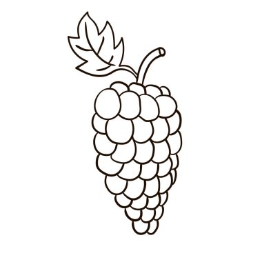 Çizgi filmlerdeki gibi beyaz arka planda izole edilmiş doğrusal üzümler. Vektör illüstrasyonu.  