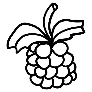 Çizgi film karalaması doğrusal ahududu beyaz arka planda izole edilmiş. Vektör illüstrasyonu. 