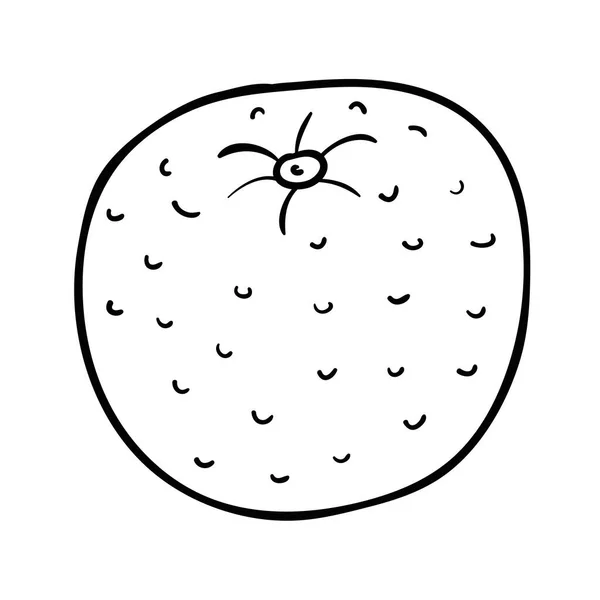 Desenhos Animados Doodle Laranja Linear Isolado Fundo Branco Ilustração Vetorial — Vetor de Stock