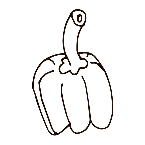 Cartone Animato Doodle Pepe Lineare Isolato Sfondo Bianco Illustrazione Vettoriale — Vettoriale Stock