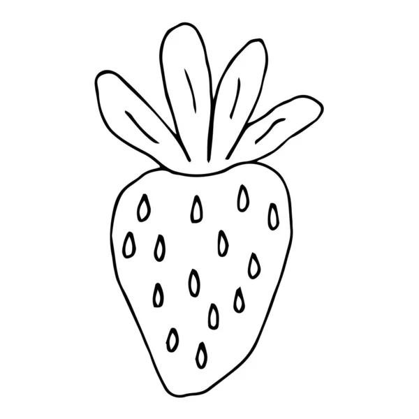 白い背景に隔離された漫画のドードルストロベリー 夏のフルーツアイコンを手描き ベリーだ ベクターイラスト — ストックベクタ