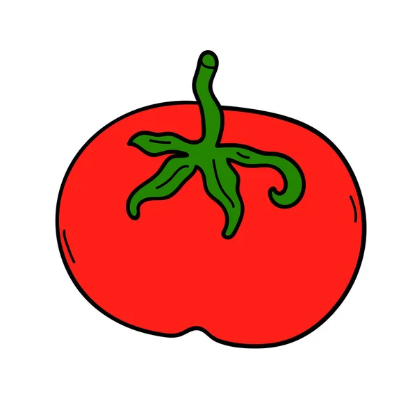 Cartoon Doodle Tomate Linear Isolado Sobre Fundo Branco Ilustração Vetorial — Vetor de Stock