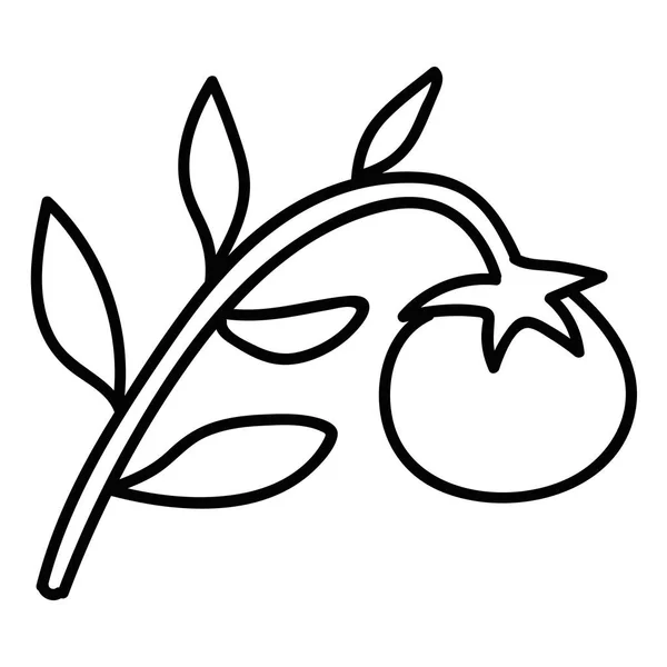 Cartoon Doodle Tomate Linear Isolado Sobre Fundo Branco Ilustração Vetorial — Vetor de Stock