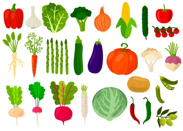 Récolte Ensemble Légumes Frais Chou Poivrons Tomates Brocoli Laitue Olive — Image vectorielle