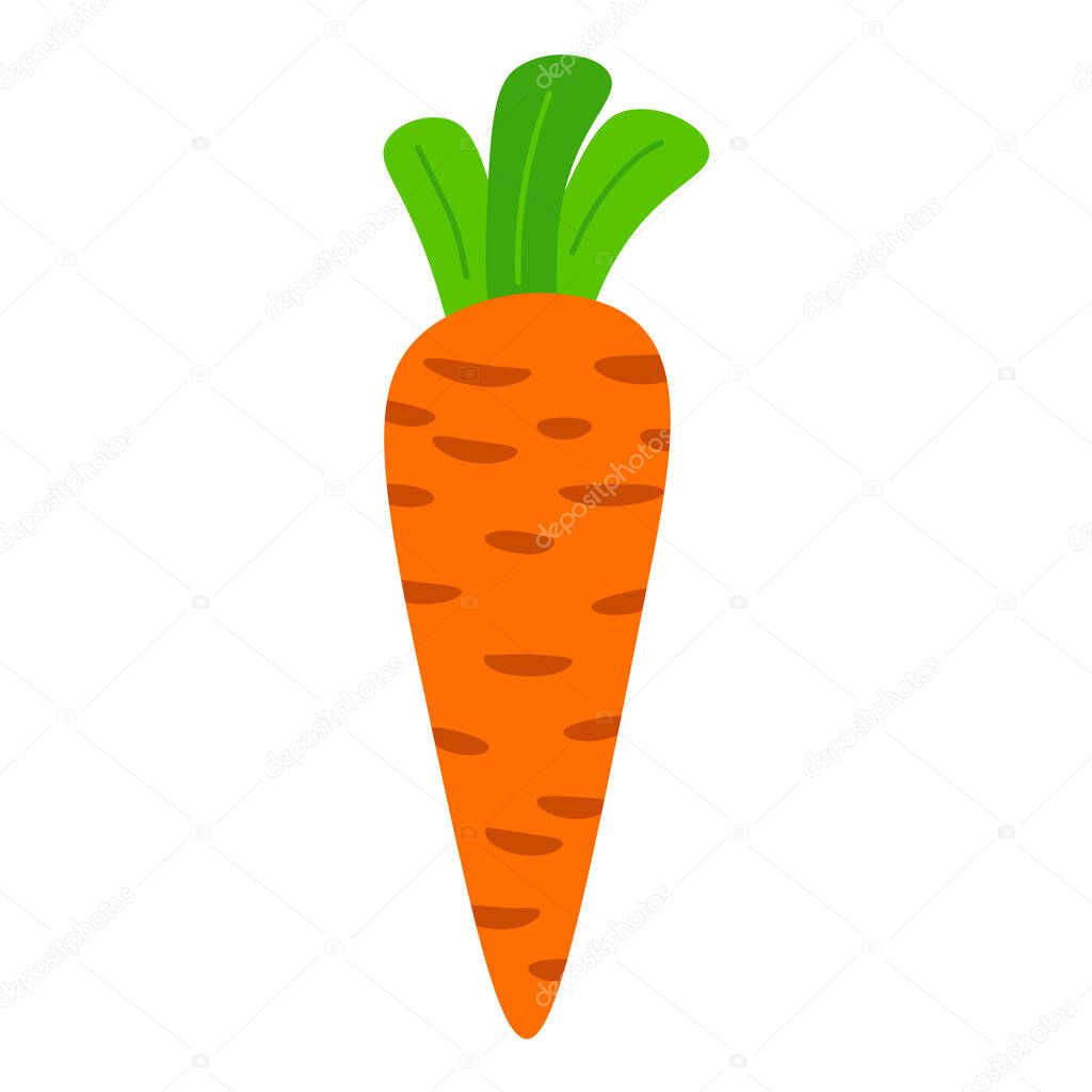 Orange carrot with green leaves in flat style isolated on white background. Vector illustration. 