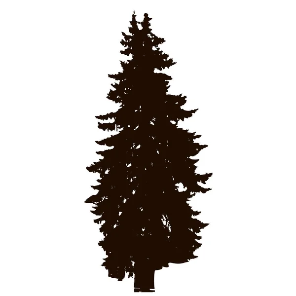 Abeto Silueta Realista Árbol Aislado Sobre Fondo Blanco Ilustración Vectorial — Vector de stock