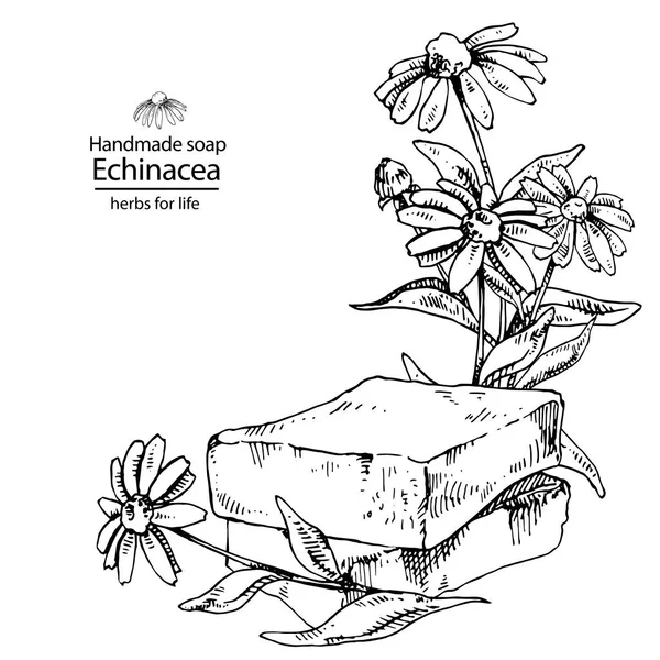 4つの花で石鹸を作ったエキナセア手 — ストックベクタ