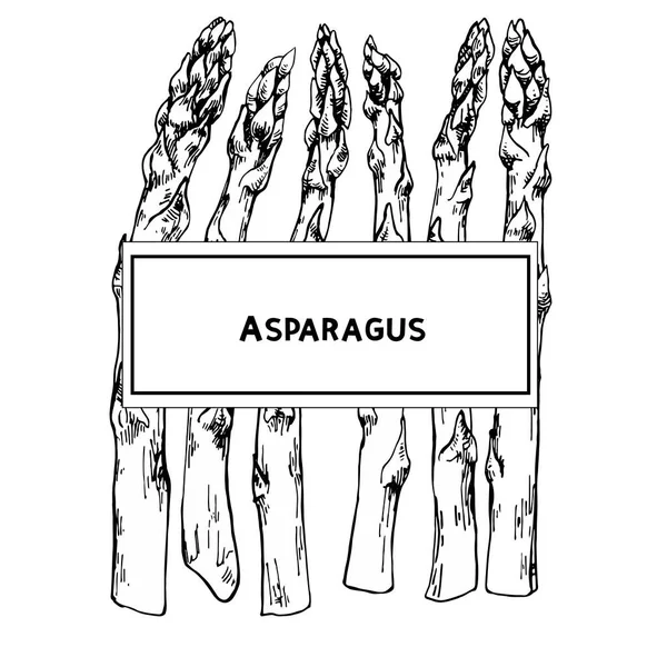 Szparagi z miejscem na tekst — Wektor stockowy