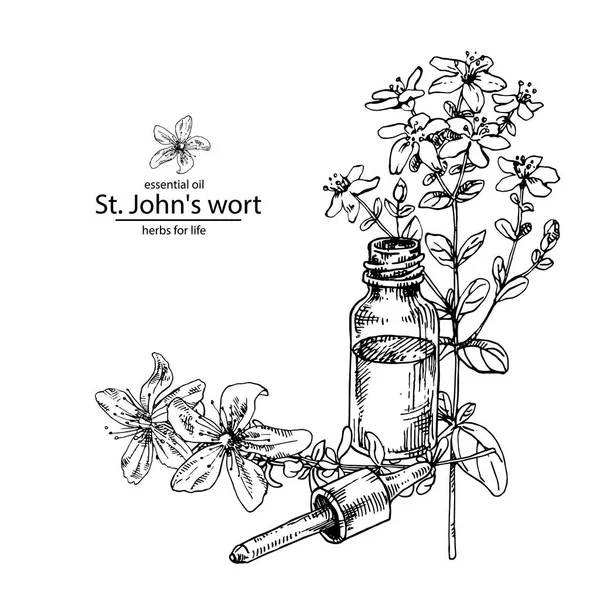 Άνοιγμα μπουκαλιού με λάδι St Johns wort — Διανυσματικό Αρχείο