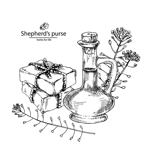 Shepherds Handtasche Ölflasche und Seife — Stockvektor