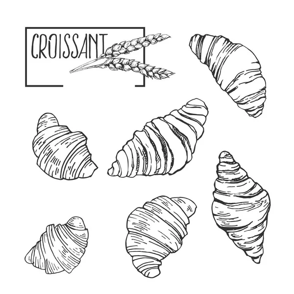 Croissants de ilustração vetorial desenhado à mão com letras —  Vetores de Stock