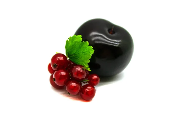 Eine Schwarze Pflaumenbeere Und Ein Zweig Rote Johannisbeere Mit Einem — Stockfoto