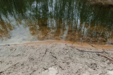 Orman ayna suyuna yansıyor.