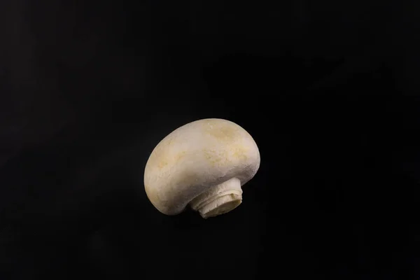 Cogumelo Cogumelo Fresco Branco Fundo Escuro — Fotografia de Stock