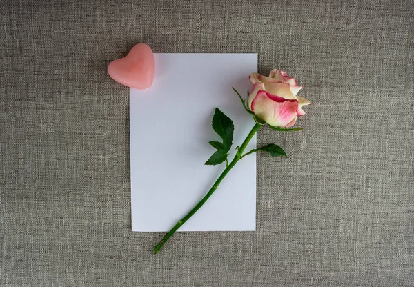 Een Stuk Wit Papier Met Een Hart Een Roos — Stockfoto