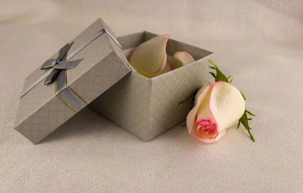 Grey Gift Box Rose Petals Beige Background — Stock Photo, Image