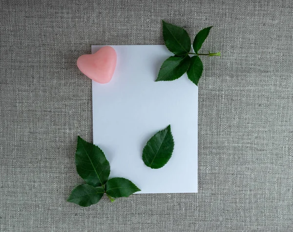 Een Vel Wit Papier Met Rozenblaadjes Een Hart Bovenaanzicht Kopieerruimte — Stockfoto