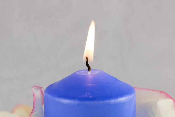 Vela Ardente Cor Azul Com Pétalas Rosa Close Fundo Bege — Fotografia de Stock