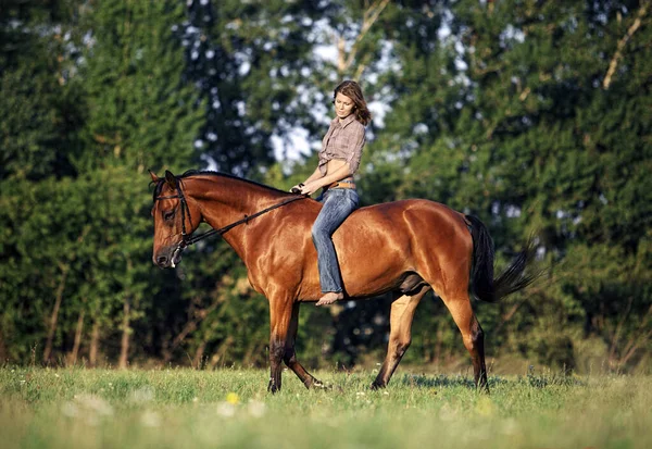 夏の森の中でスポーツドレッシング馬に乗る美しい女の子 — ストック写真