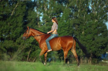 Güzel atlı model kız atıyla gün batımında çayırda