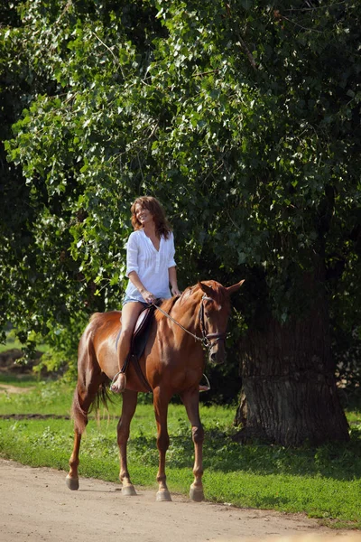 美しい乗馬モデルの女の子とともに彼女の馬で牧草地で日没 — ストック写真