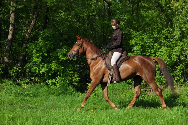 美しい乗馬モデルの女の子とともに彼女の馬で牧草地で日没 — ストック写真