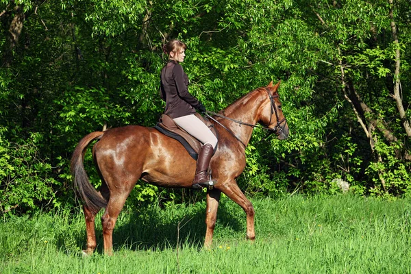 美しい乗馬モデルの女の子とともに彼女の馬で牧草地で日没 — ストック写真