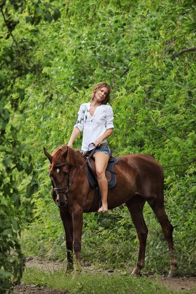 Beautiful Equestrian Model Girl Her Horse Meadow Sunset — Stock Photo, Image