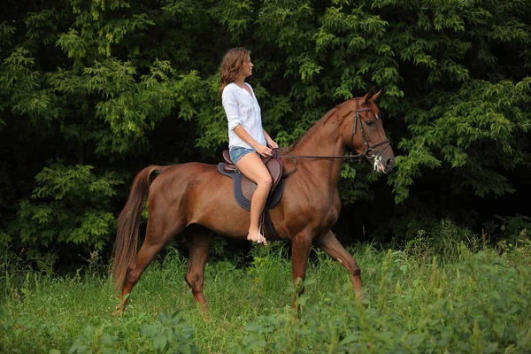 美しいブロンドの女の子は夏の森の中でスポーツドレッシング馬に乗って — ストック写真