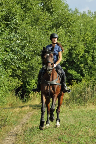 Vrouw Paardrijden Sportieve Dressuur Paard Het Pad Avond — Stockfoto