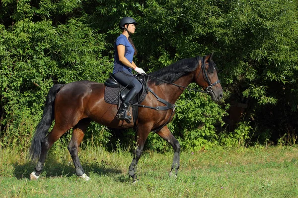 Frau Reitet Abends Sportliches Dressurpferd Den Weg Hinunter — Stockfoto